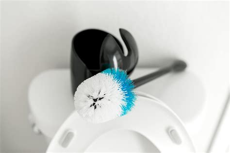 toilet brush porn